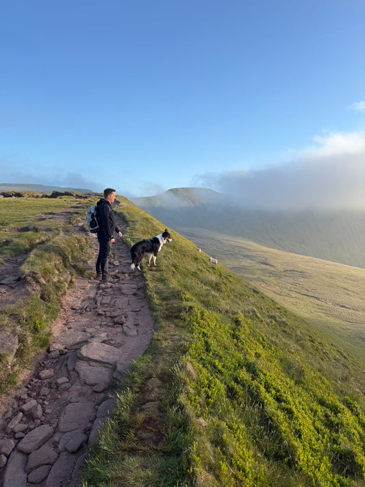 Hiking the Brecon Beacons: A Must-Do Adventure with Your Furry Friend