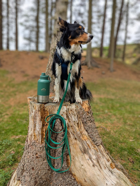 Waterproof 5m Longline Lead | Fido’s Trails – Durable, Lightweight, Ideal for Dog Training and Outdoor Adventures