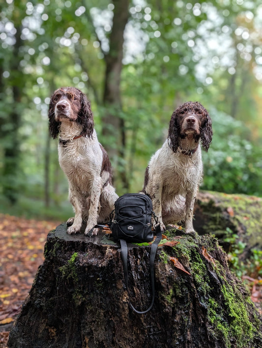 Tactical Dog Walking Bag with Poo Bag Dispenser - Fido's Trails