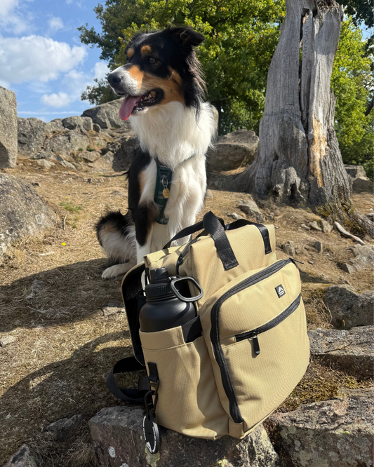 Weekender Travel Bag & Insulated Food Bag