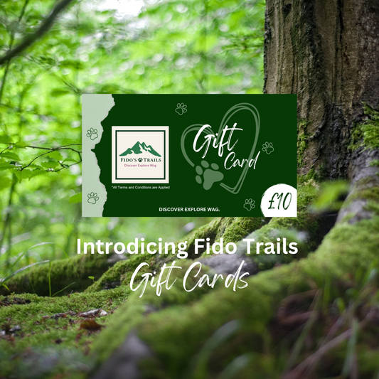 Fido’s Trails E-Gift Card – The Ultimate Gift for Dog Lovers 🐾