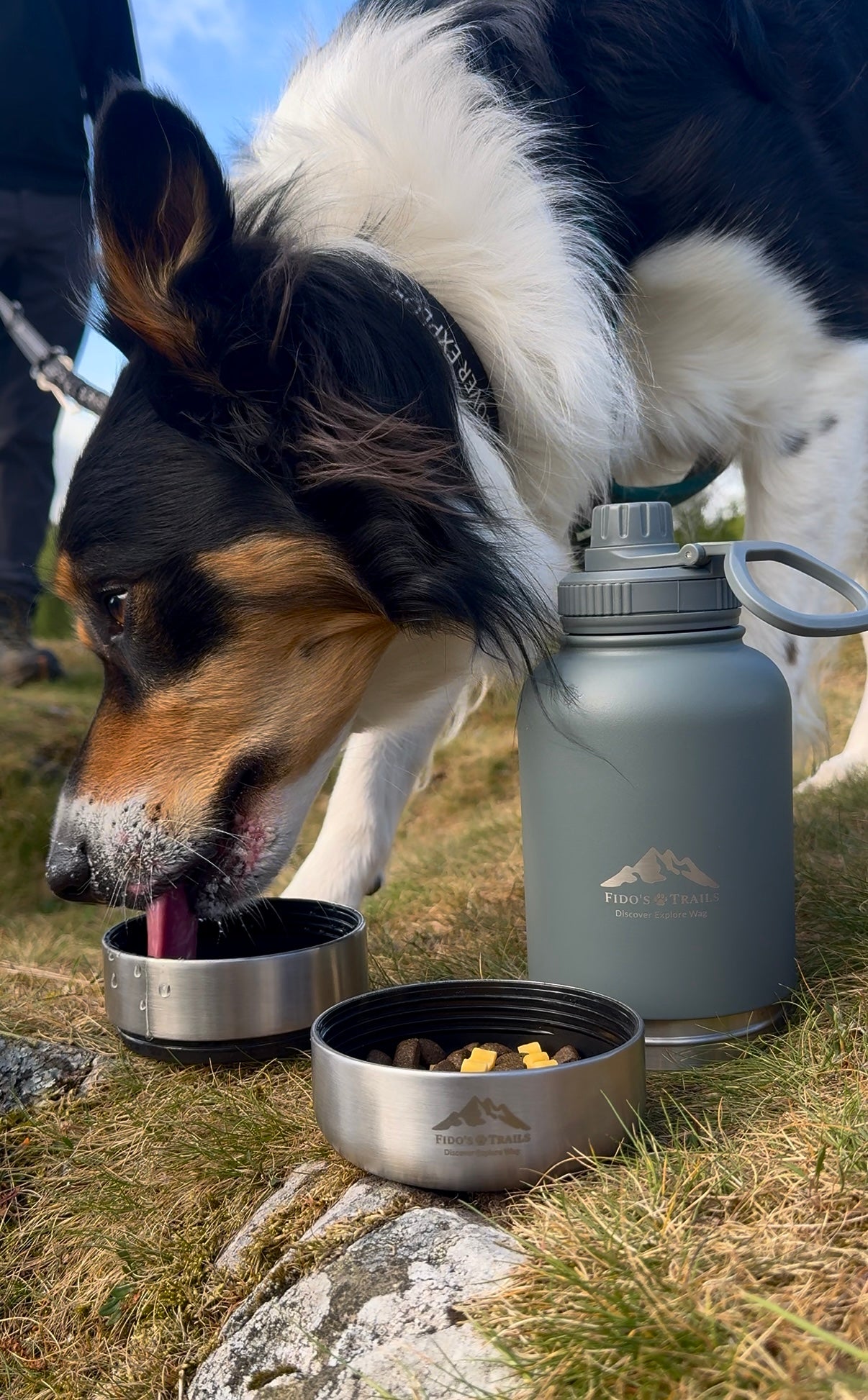 Fido's Trails 3-in-1 Water Bottle with Detachable Bowls – For Dogs & Owners, 1 Litre Mountain Grey