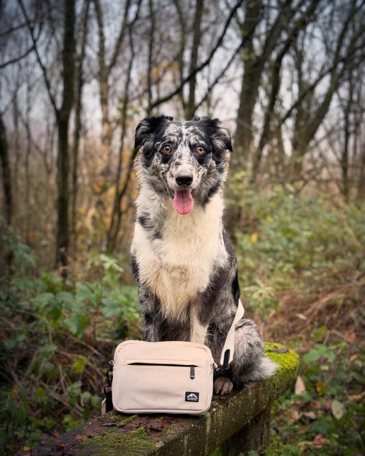 Dog Walking Bag with Mini Treat Pouch - Stone | Fido's Trails