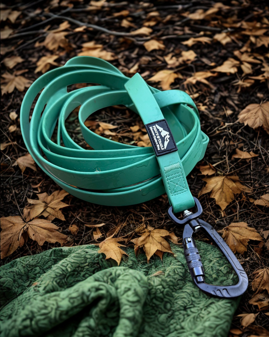 Autumn Hazards for Dogs: What Every Owner Needs to Know