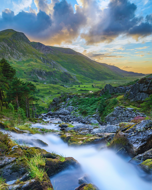 Leave No Trace: Hiking Responsibly With Your Dog