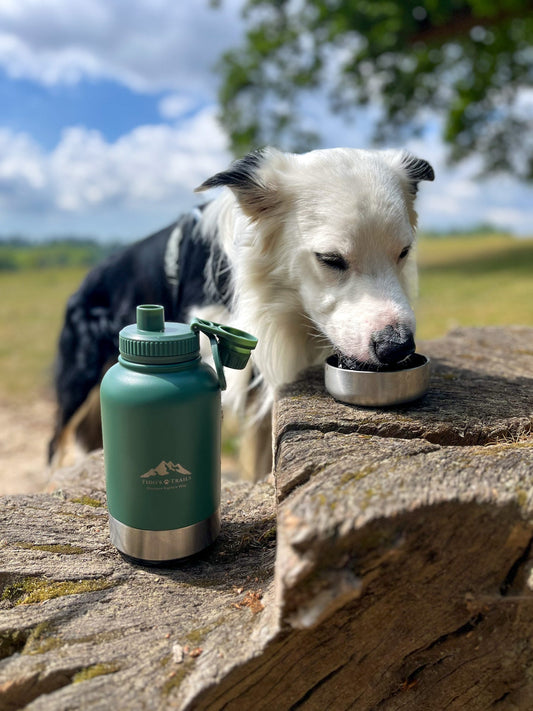 Fido's Trails 3-in-1 Water Bottle with Detachable Bowls – For Dogs & Owners, 1 Litre Forest Green