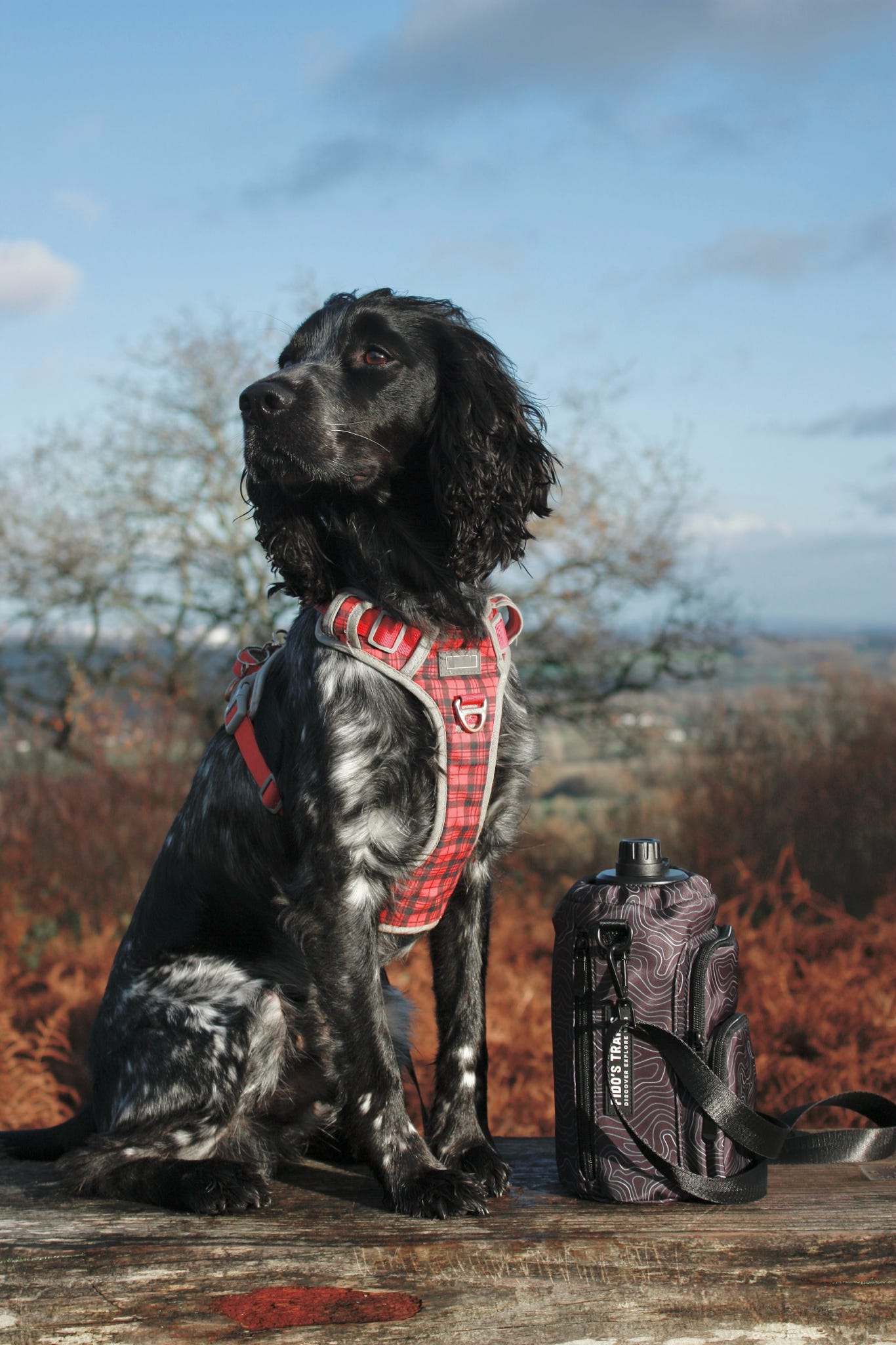 Contour Trail Bottle Bag – Crossbody Dog Water Bottle Bag