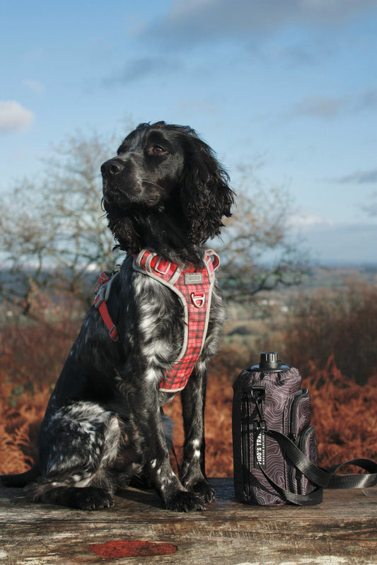 Contour Trail Bottle Bag – Crossbody Dog Water Bottle Bag