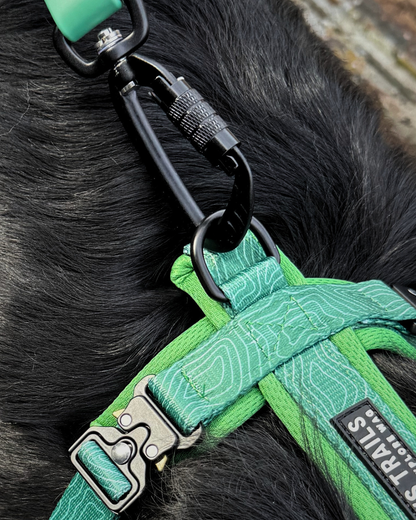 Contour Freedom Harness – Adjustable Y-Shaped Dog Harness