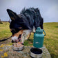 Multi-functional dog water bottle with two detachable bowls, perfect for outdoor walks and hikes with Fido