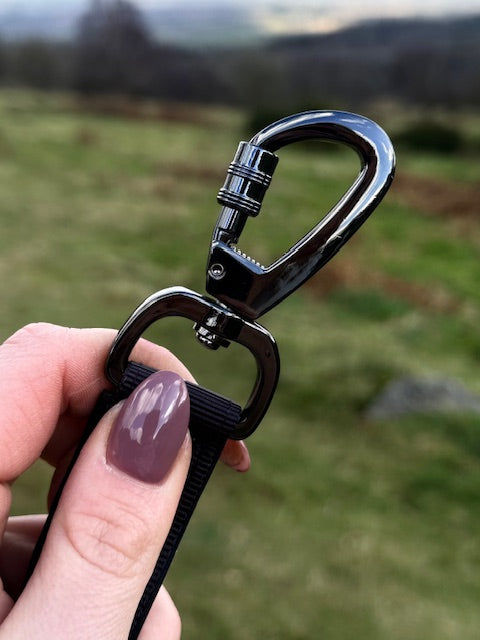 Fido's Signature lead