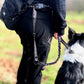 Fido's Signature lead