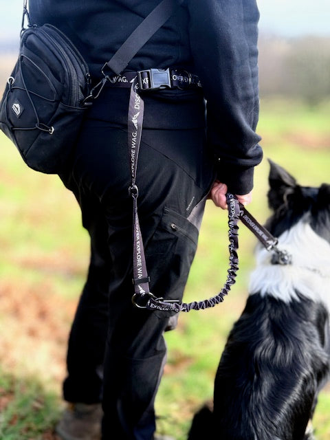 Fido's Signature lead