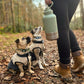 Fido's Trails 3-in-1 Water Bottle with Detachable Bowls – For Dogs & Owners, 1 Litre Sage