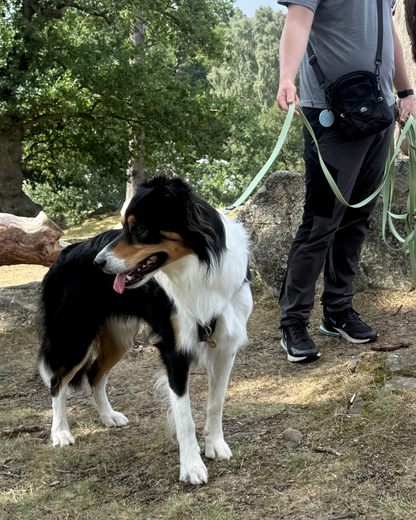 Waterproof 10m Longline Lead | Fido’s Trails – Durable, Lightweight, Ideal for Dog Training and Outdoor Adventures