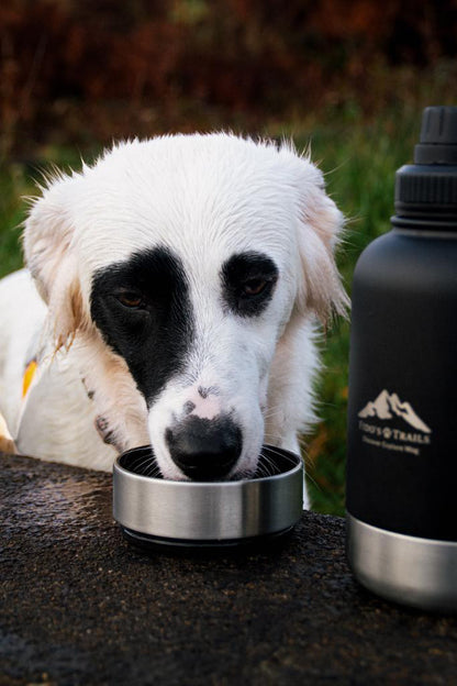 Dog drinking from detachable bowl of Black 3-in-1 water bottle outdoors
