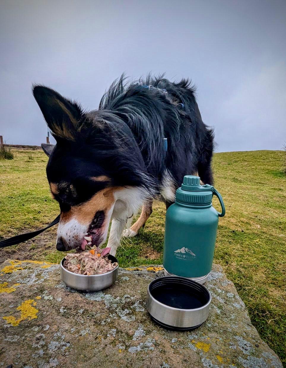 Dog eating from detachable bowl of 3-in-1 dog water bottle during outdoor walk