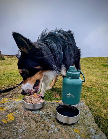 Dog eating from detachable bowl of 3-in-1 dog water bottle during outdoor walk