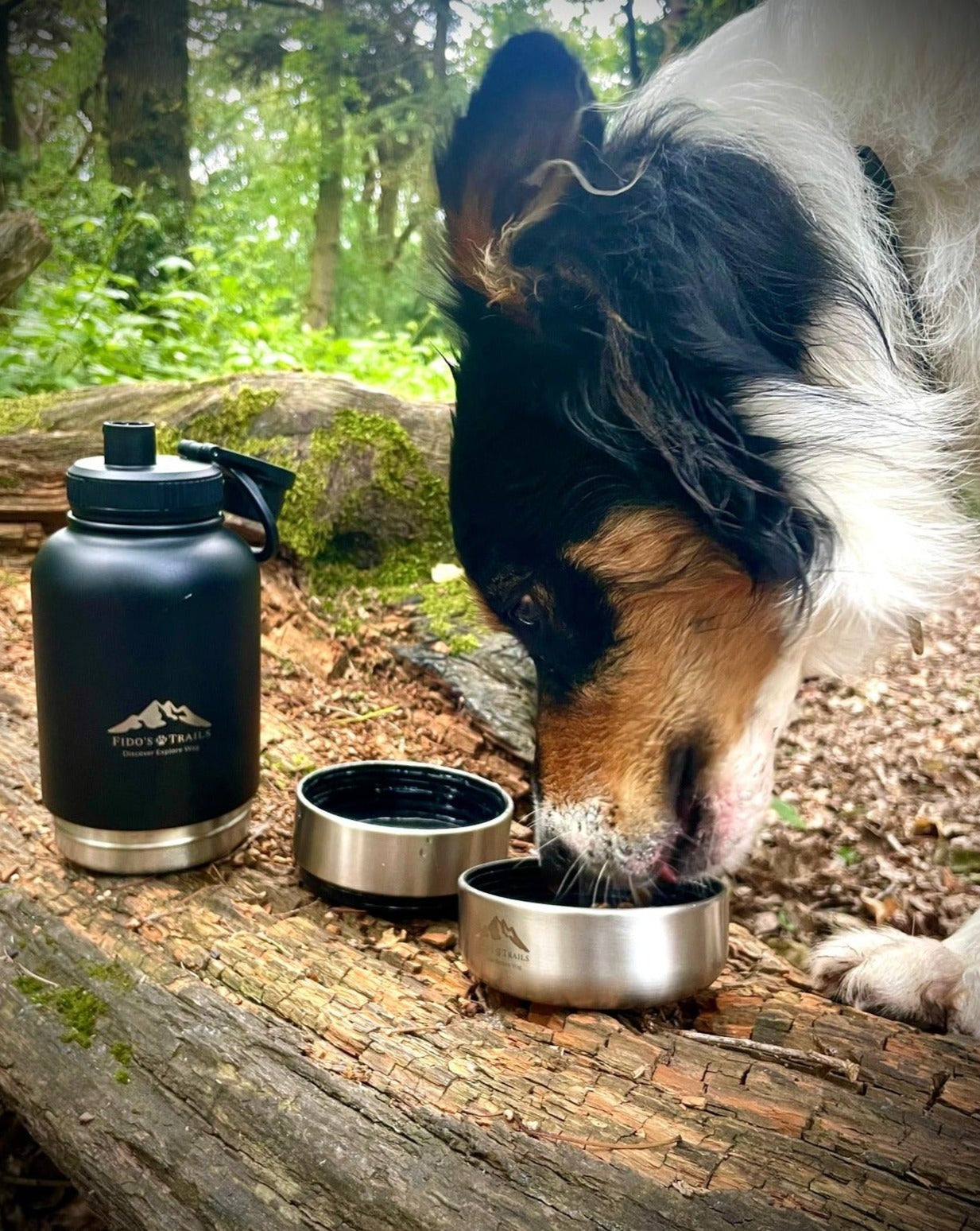 Dog eating from detachable bowl of Black 3-in-1 water bottle outdoors