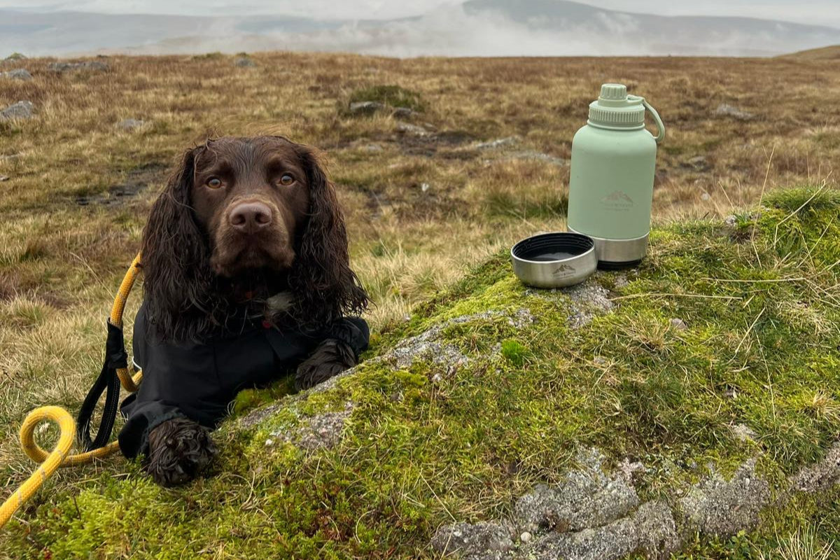 Dog resting next to Sage 3-in-1 water bottle during outdoor adventure