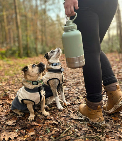 Dog owner holding Sage 3-in-1 water bottle during outdoor walk with dog
