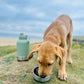 Fido's Trails 3-in-1 Water Bottle with Detachable Bowls – For Dogs & Owners, 1 Litre Sage
